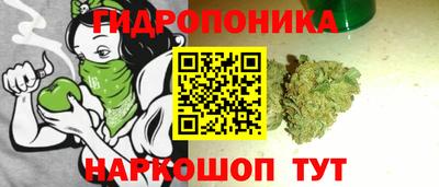 эйфоретик Новодвинск