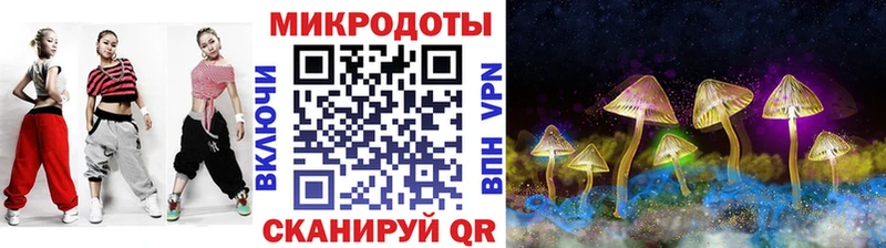 Галлюциногенные грибы Psilocybine cubensis Геленджик