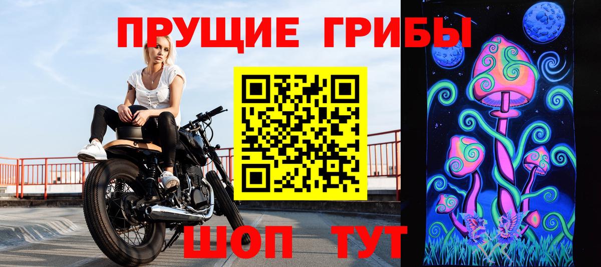 Галлюциногенные грибы GOLDEN TEACHER  Вход с VPN  цена   Геленджик 